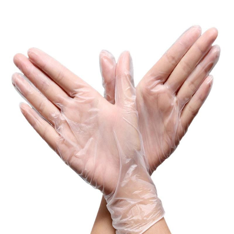 china Disposable PE Gloves Wholesale Price
